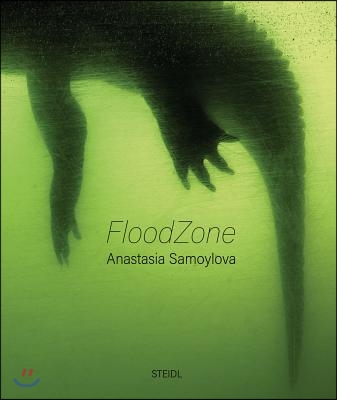 Anastasia Samoylova: Floodzone