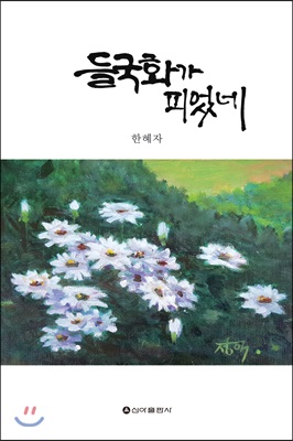 들국화가 피었네