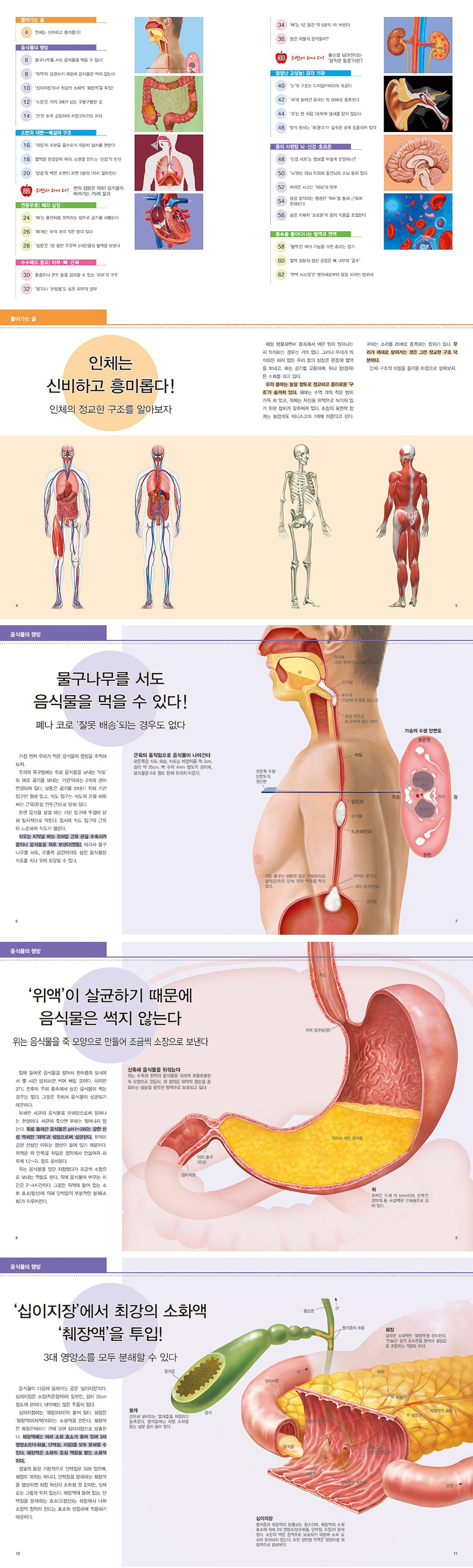 상세 이미지 1