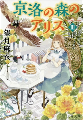 京洛の森のアリス(3)鏡の中に見えるもの