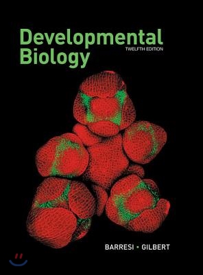 Developmental Biology