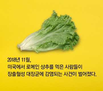 카드뉴스1