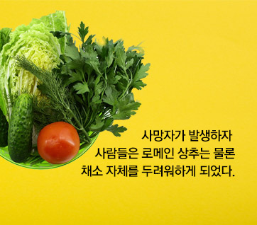 카드뉴스2