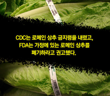 카드뉴스3