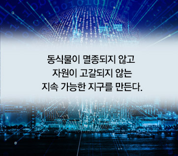 카드뉴스11