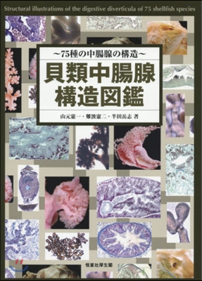 貝類中腸腺構造圖鑑~75種の中腸腺の構造