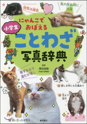 にゃんこでおぼえる 小學生ことわざ寫眞辭典