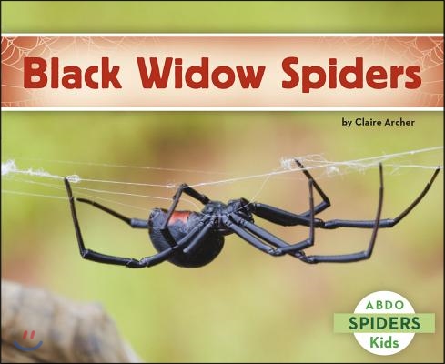 Black Widow Spiders