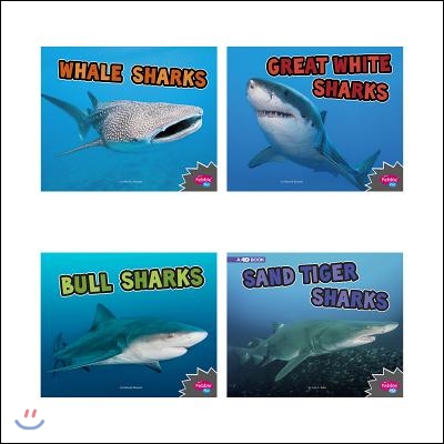 All About Sharks