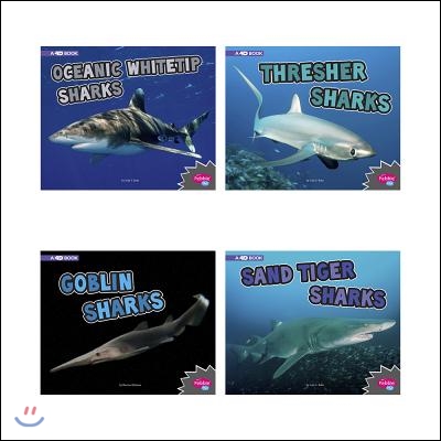 All About Sharks