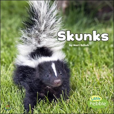 Skunks