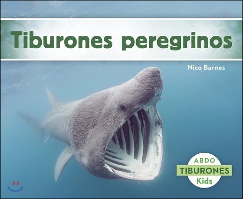 Tiburones peregrinos/ Basking Sharks