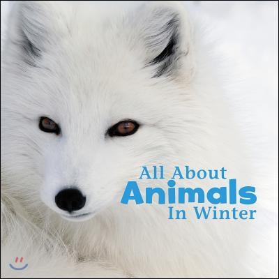 All about Animals in Winter