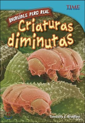 Criaturas diminutas