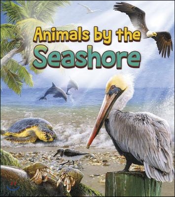 Animals by the Seashore