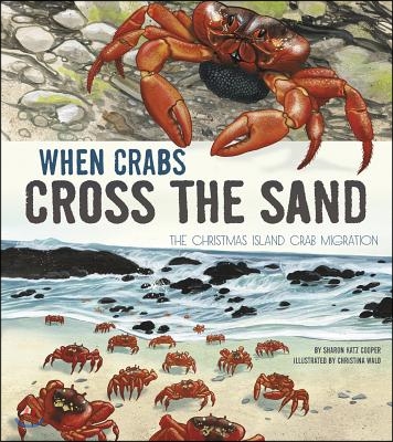 When Crabs Cross the Sand: The Christmas Island Crab Migration