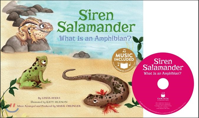 Siren Salamander: What Is an Amphibian?