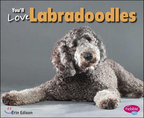 You&#39;ll Love Labradoodles