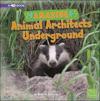 Amazing Animal Architects Underground: A 4D Book