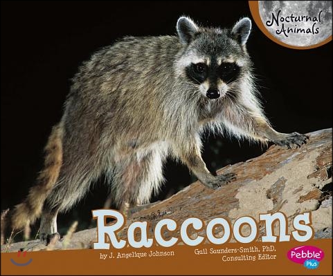 Raccoons