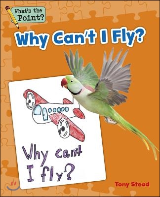 Why Can&#39;t I Fly?