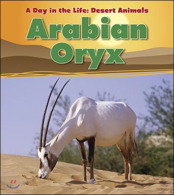 Arabian Oryx