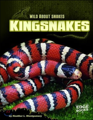 Kingsnakes