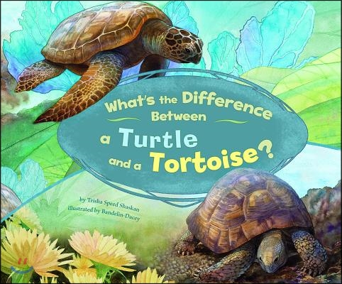 What&#39;s the Difference Between a Turtle and a Tortoise?