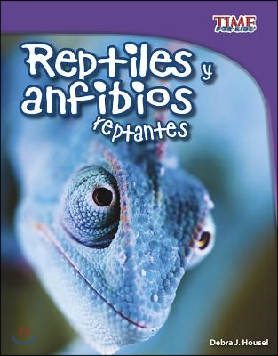 Reptiles Y Anfibios Reptantes