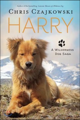 Harry: A Wilderness Dog Saga