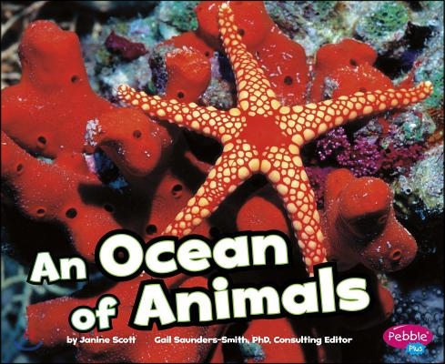 An Ocean of Animals