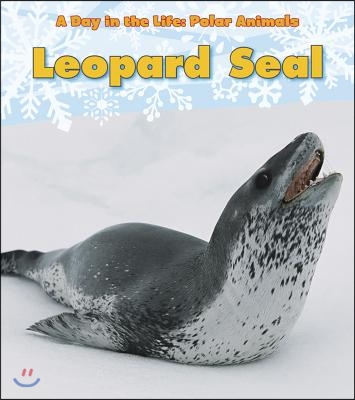 Leopard Seal