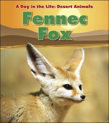 Fennec Fox