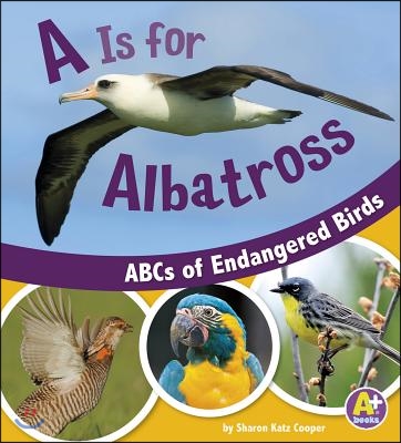 A is for Albatross: ABCs of Endangered Birds