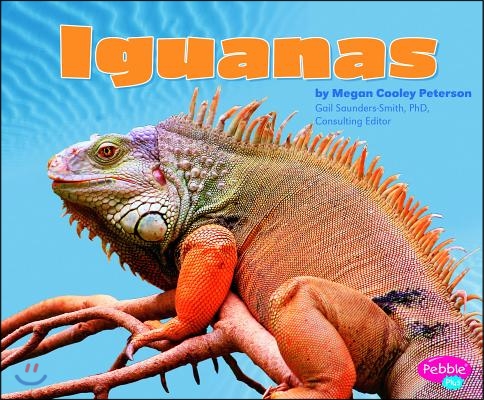 Iguanas