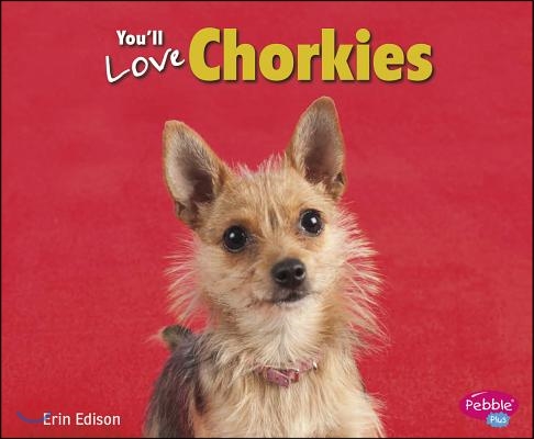 You&#39;ll Love Chorkies