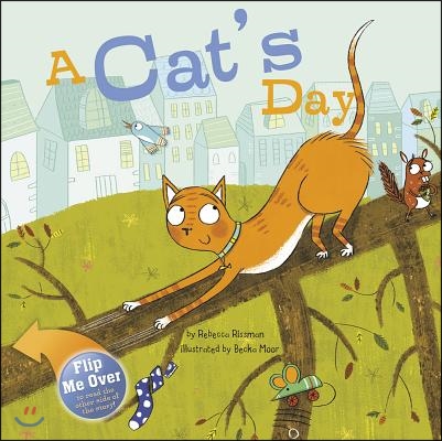 A Cat's Day