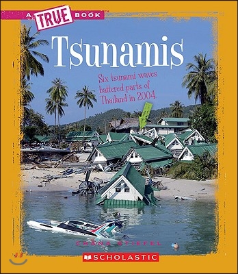 Tsunamis (a True Book: Earth Science)