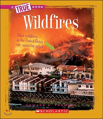 Wildfires