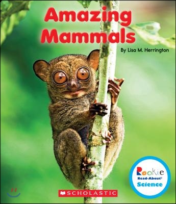 Amazing Mammals (Rookie Read-About Science: Strange Animals) (Library Edition)