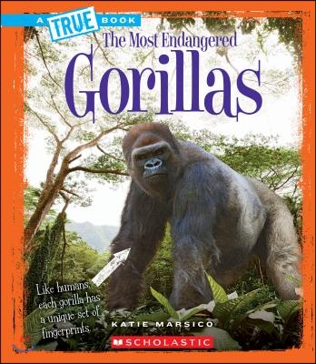 Gorillas (True Book: Most Endangered) (Library Edition)