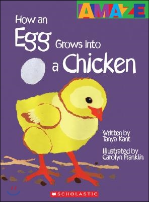 How an Egg Grows Into a Chicken