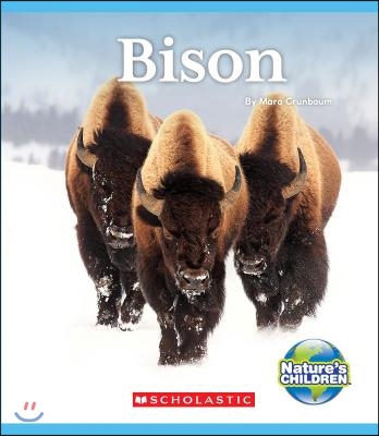 Bison (Nature&#39;s Children)