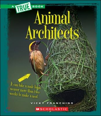 Animal Architects (a True Book: Amazing Animals) (Library Edition)