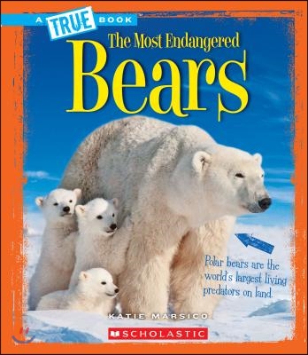 Bears (True Book: Most Endangered)