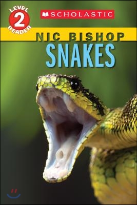 Snakes (Scholastic Reader, Level 2: Nic Bishop Reader #5)