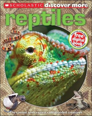 Reptiles