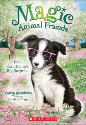 Evie Scruffypup's Big Surprise (Magic Animal Friends #10): Volume 1