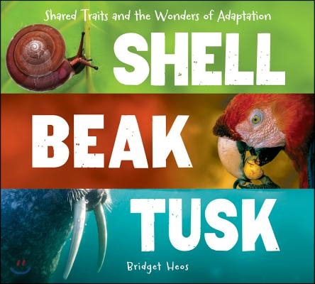 Shell, Beak, Tusk: Shared Traits and the Wonders of Adaptation