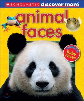 Animal Faces (Scholastic Discover More)